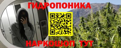 прущие грибы Нарткала