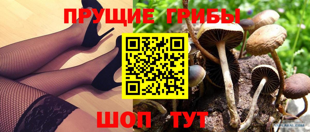 Галлюциногенные грибы Magic Shrooms Томск