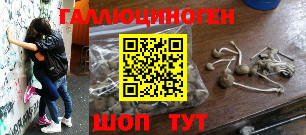 Псилоцибиновые грибы прущие грибы  Псилоцибиновые грибы Psilocybe  Томск  Вход с VPN 